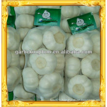 New crop garlic export China/Fresh garlic/Fresh white garlic